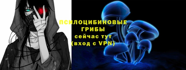 spice Абинск